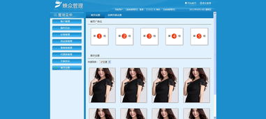 网页与网站设计 从创意到体验的全方位指南