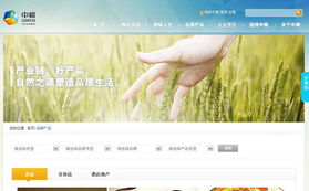 专业网站建设与设计服务 北京鸿睿思博科技的全面解决方案